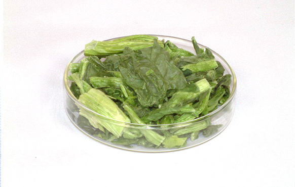 冻干菠菜
