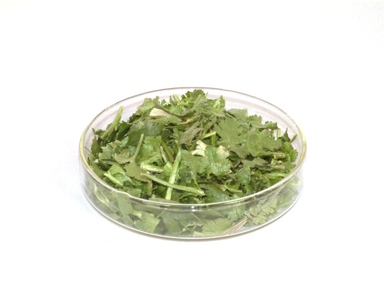 冻干香菜碎